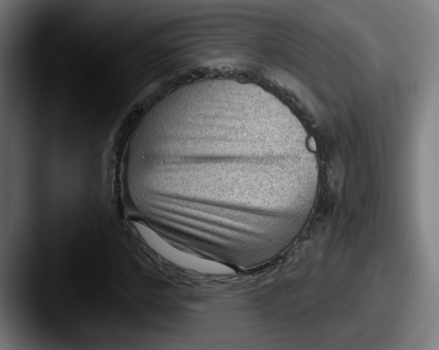 X0000087550968200705181103