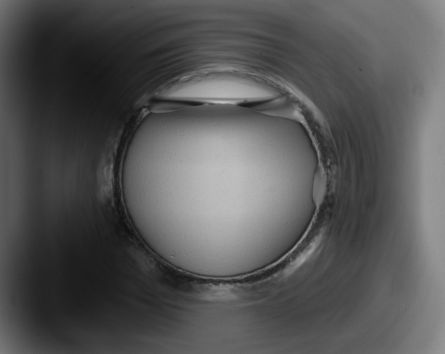 X0000087550969200705181103