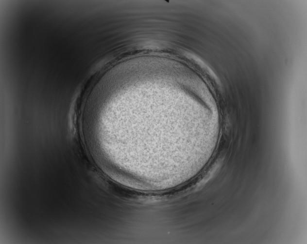 X0000087550970200705181103