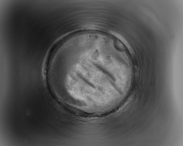 X0000087550971200705181103