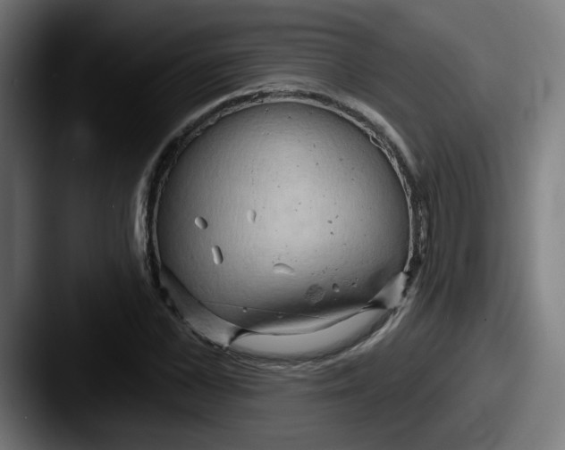 X0000087550973200705181103