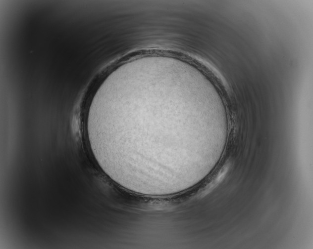 X0000087550974200705181103