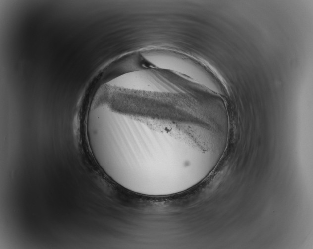 X0000087550975200705181103