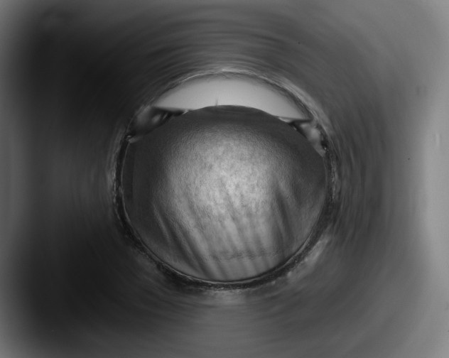 X0000087550977200705181103