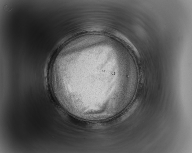 X0000087550978200705181103