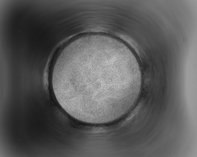 X0000087550979200705181103