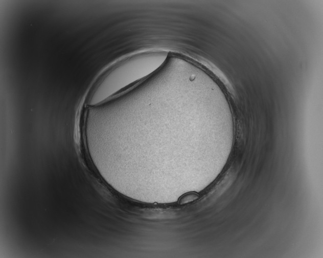 X0000087550980200705181103