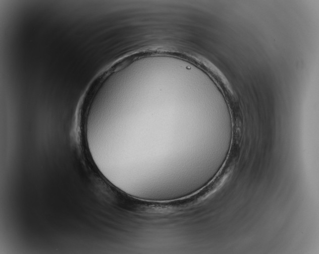 X0000087550981200705181103