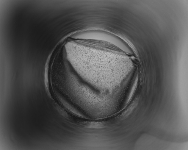 X0000087550984200705181103