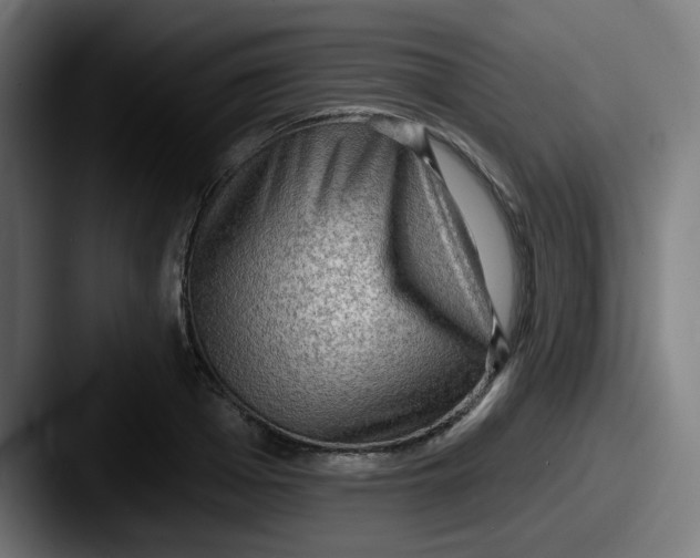 X0000087550985200705181103