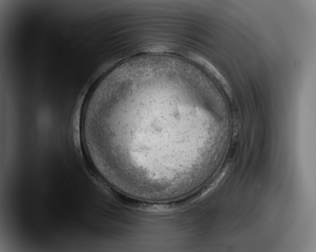 X0000087550986200705181103