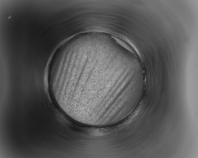 X0000087550987200705181103