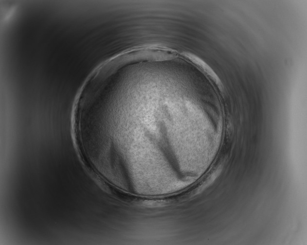 X0000087550989200705181103