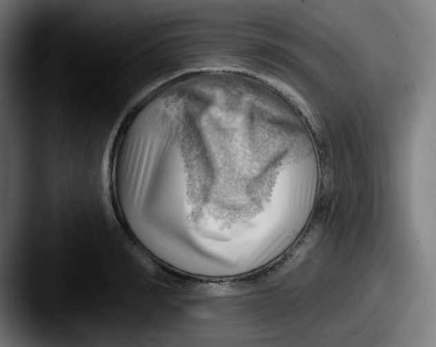 X0000087550990200705181103