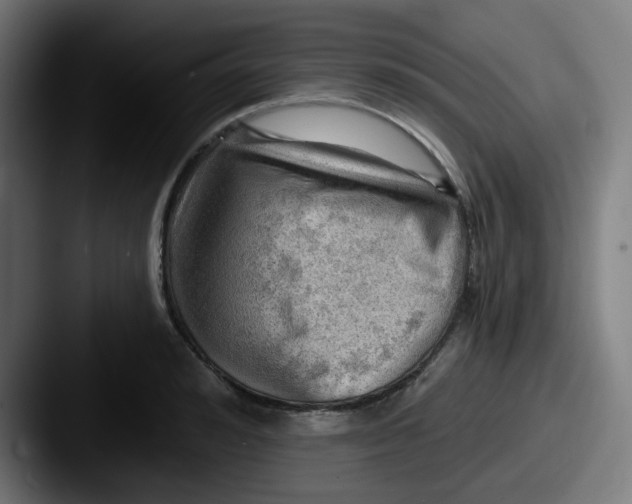 X0000087550992200705181103