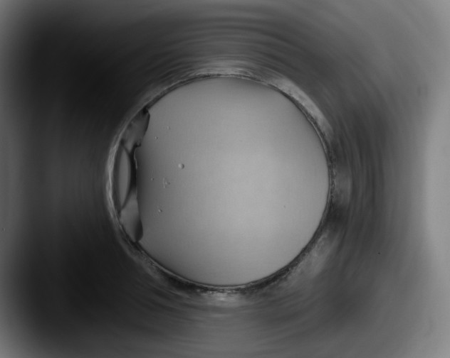 X0000087550994200705181103