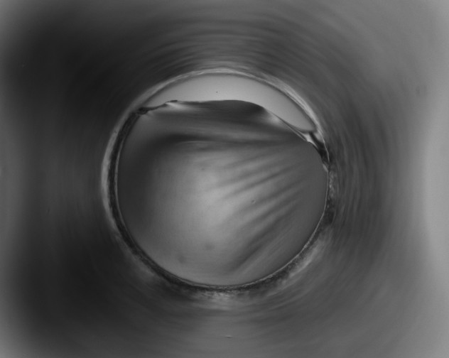 X0000087550995200705181103