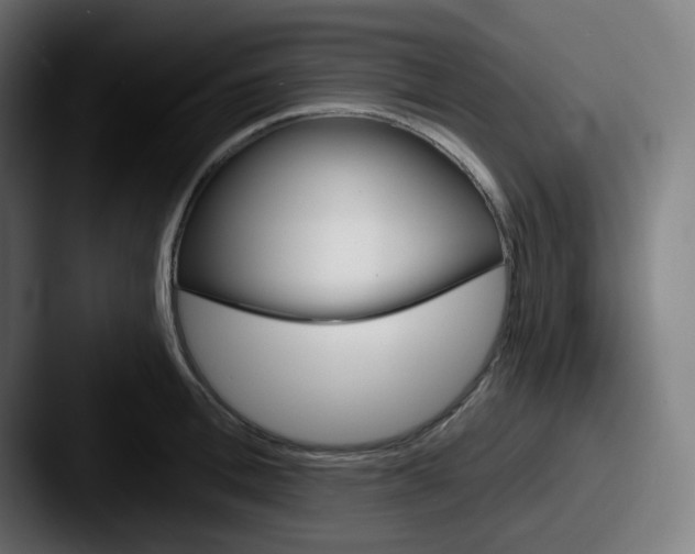 X0000087550996200705181103