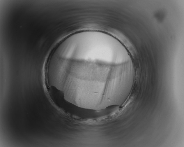 X0000087550998200705181103