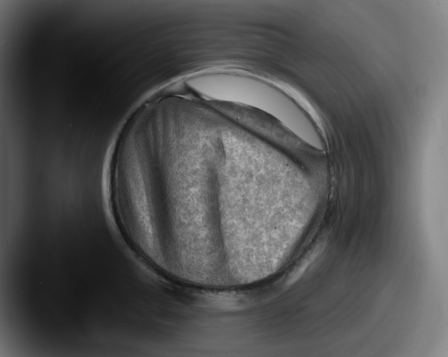 X0000087550999200705181103