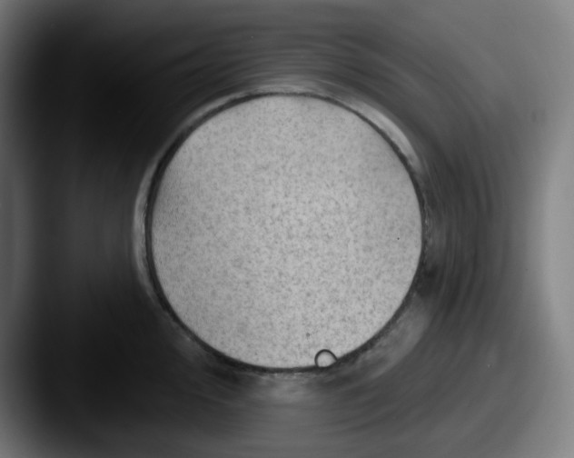 X0000087551000200705181103