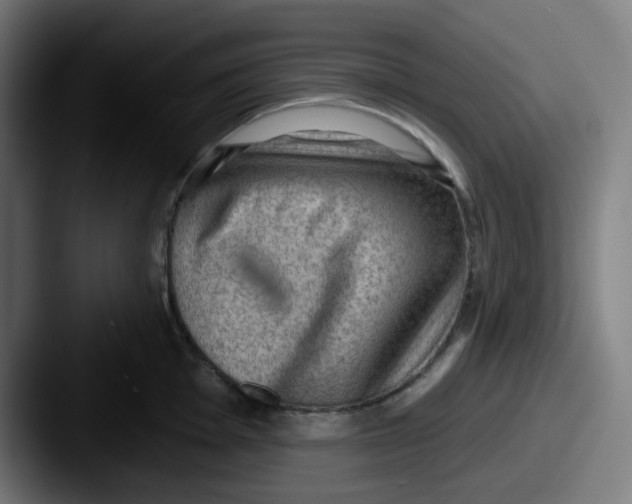 X0000087551001200705181103