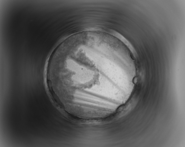 X0000087551002200705181103