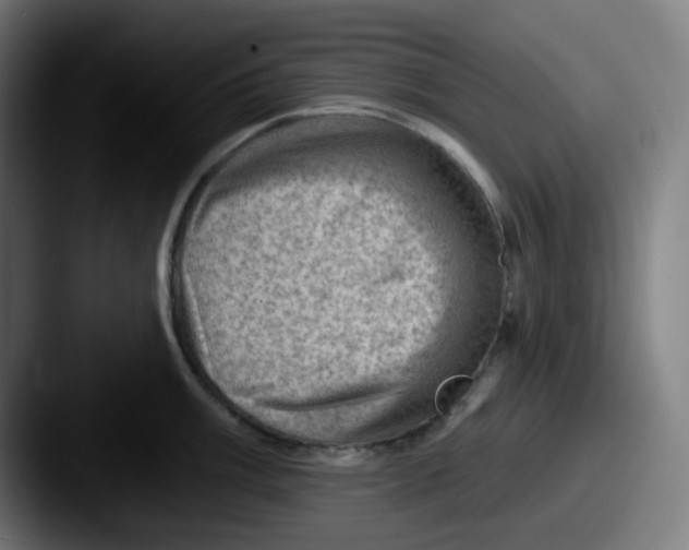 X0000087551003200705181103