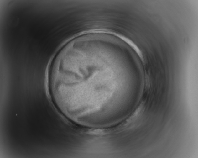 X0000087551006200705181103