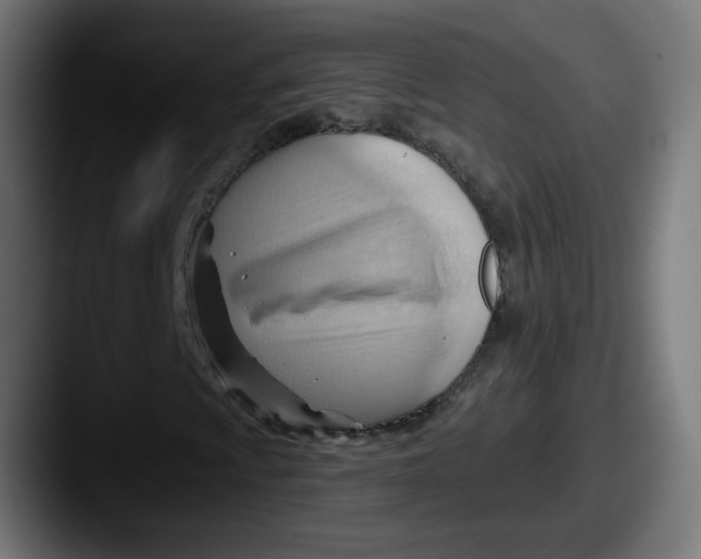 X0000087551009200705181102