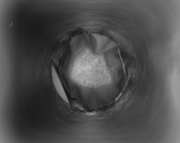 X0000087551010200705181102