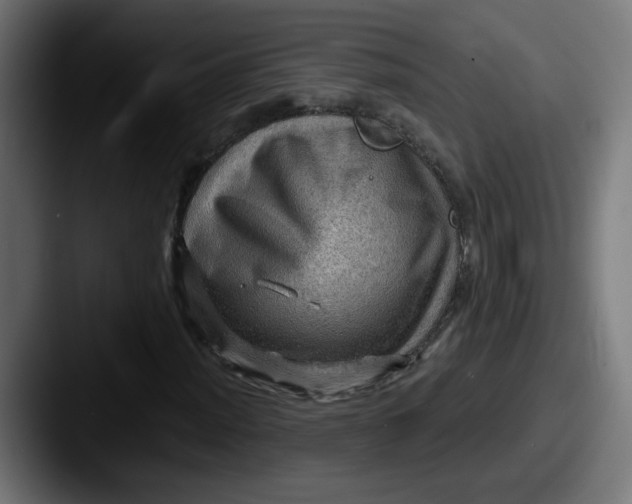 X0000087551012200705181102