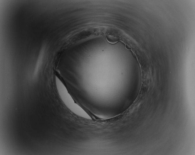 X0000087551013200705181102