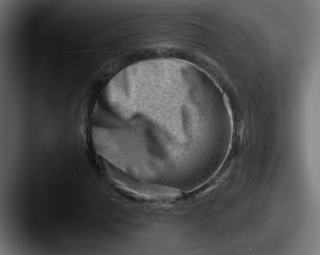 X0000087551014200705181102