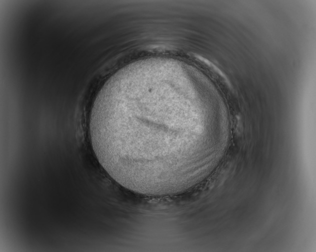 X0000087551015200705181102