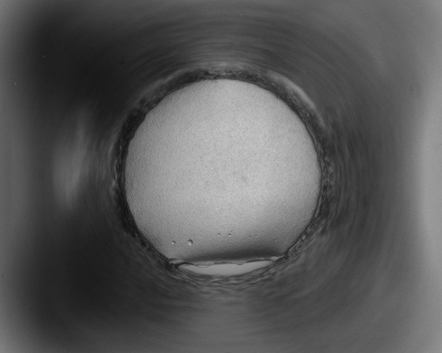 X0000087551016200705181102