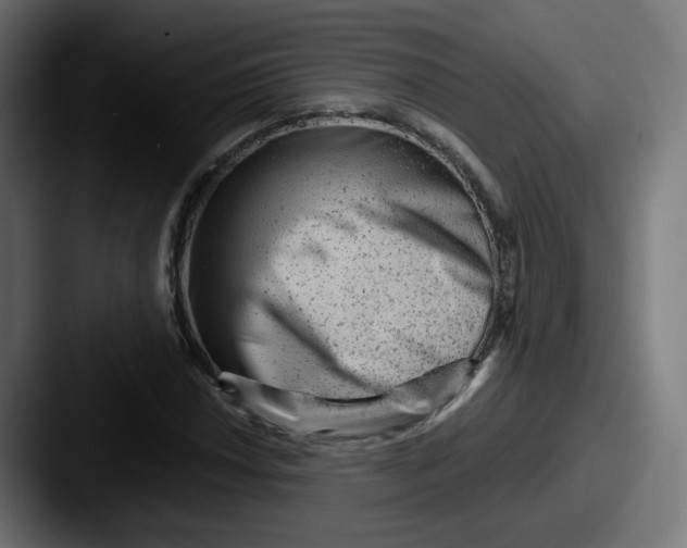 X0000087551018200705181102