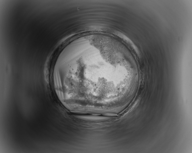 X0000087551019200705181102