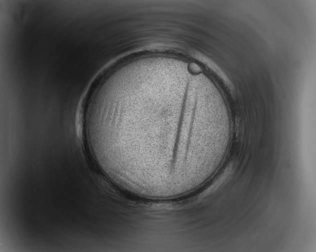 X0000087551021200705181102