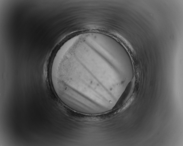 X0000087551023200705181103