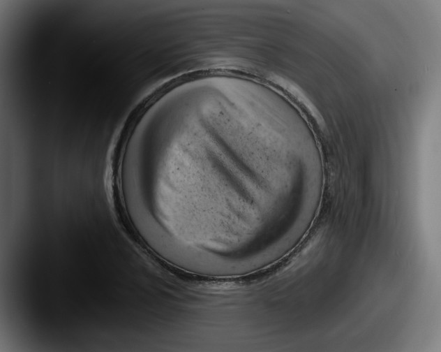 X0000087551024200705181103