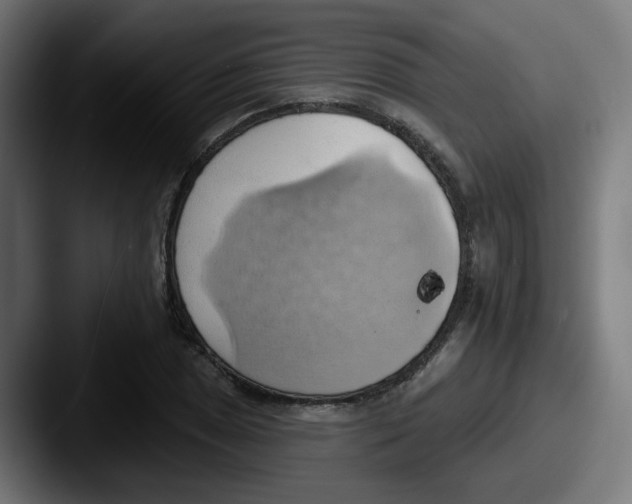 X0000087551025200705181103