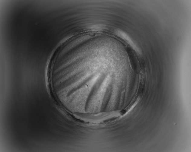 X0000087551026200705181103