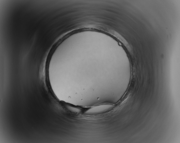 X0000087551028200705181103