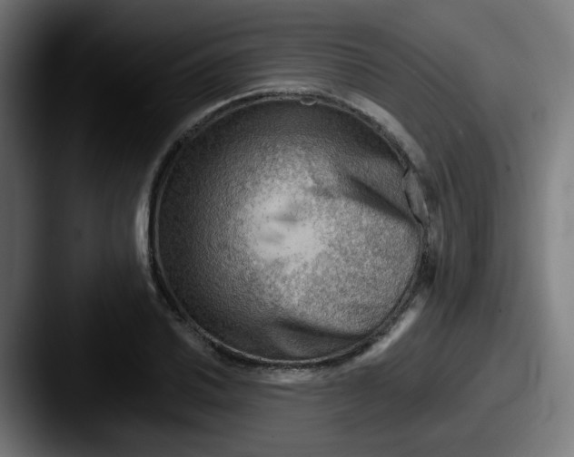 X0000087551030200705181103