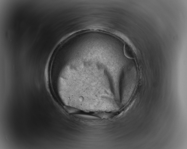 X0000087551032200705181103