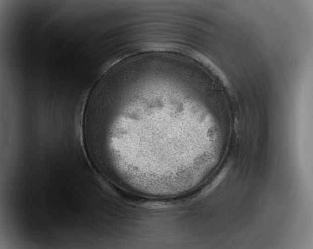 X0000087551033200705181103