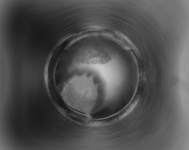 X0000087551034200705181103