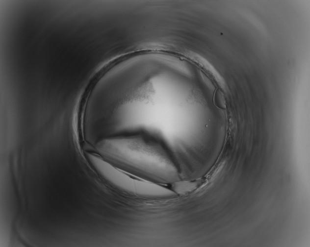 X0000087551035200705181103