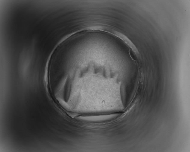 X0000087551036200705181103